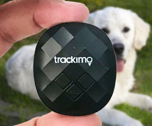 Trackimo sales for dogs