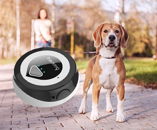 GPS Pare Perros Mini Wireless 4G LTE GPS GSM Tracker for Pet Dog